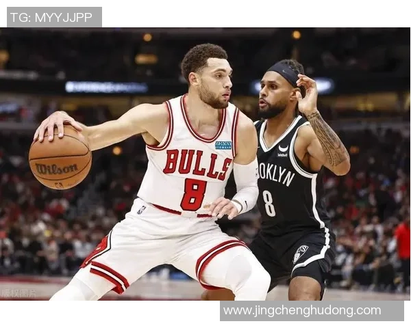 海法夏普尔与夏普尔的精彩对决分析与赛季表现对比