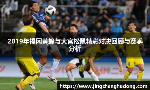 2019年福冈黄蜂与大宫松鼠精彩对决回顾与赛季分析